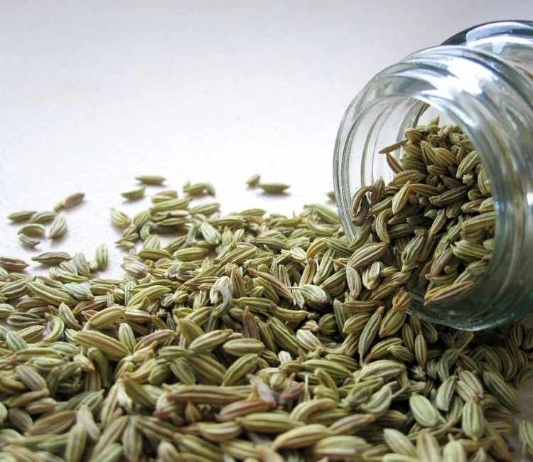 Fennel seeds are natural source of antihistamine