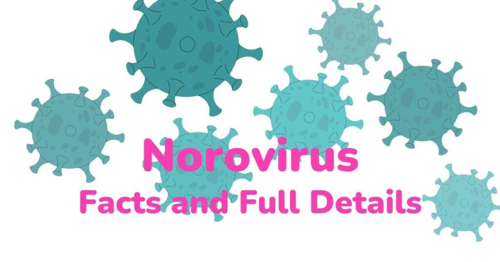 norovirus-winter vomiting bug-symptoms-treatments