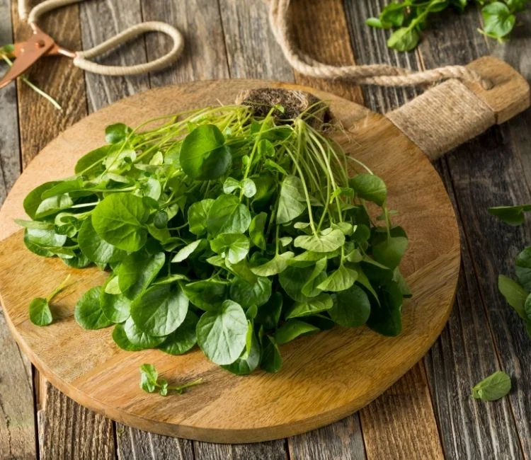 Watercress a good source of a natural antihistamine