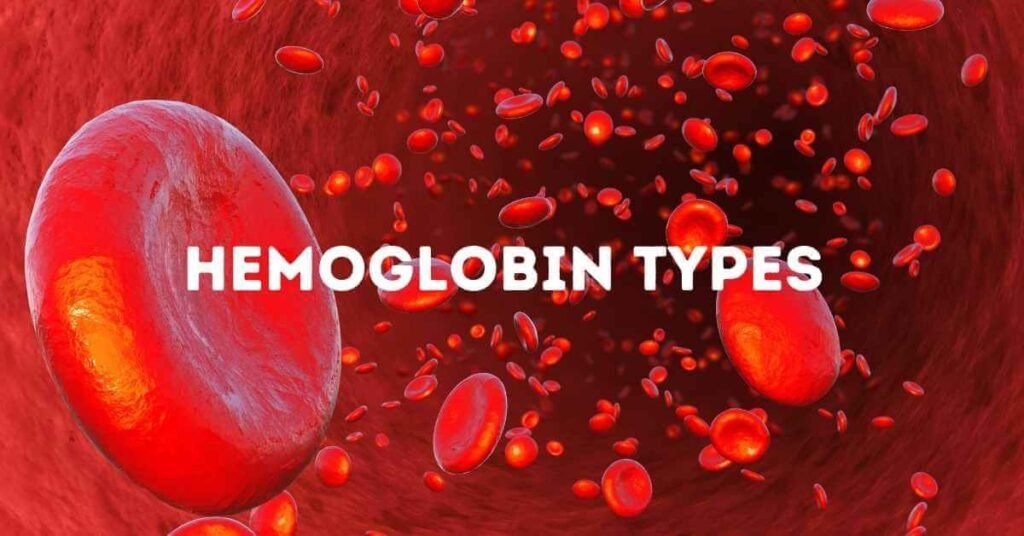 Hemoglobin-Electrophoresis-Types-of-Hemoglobin