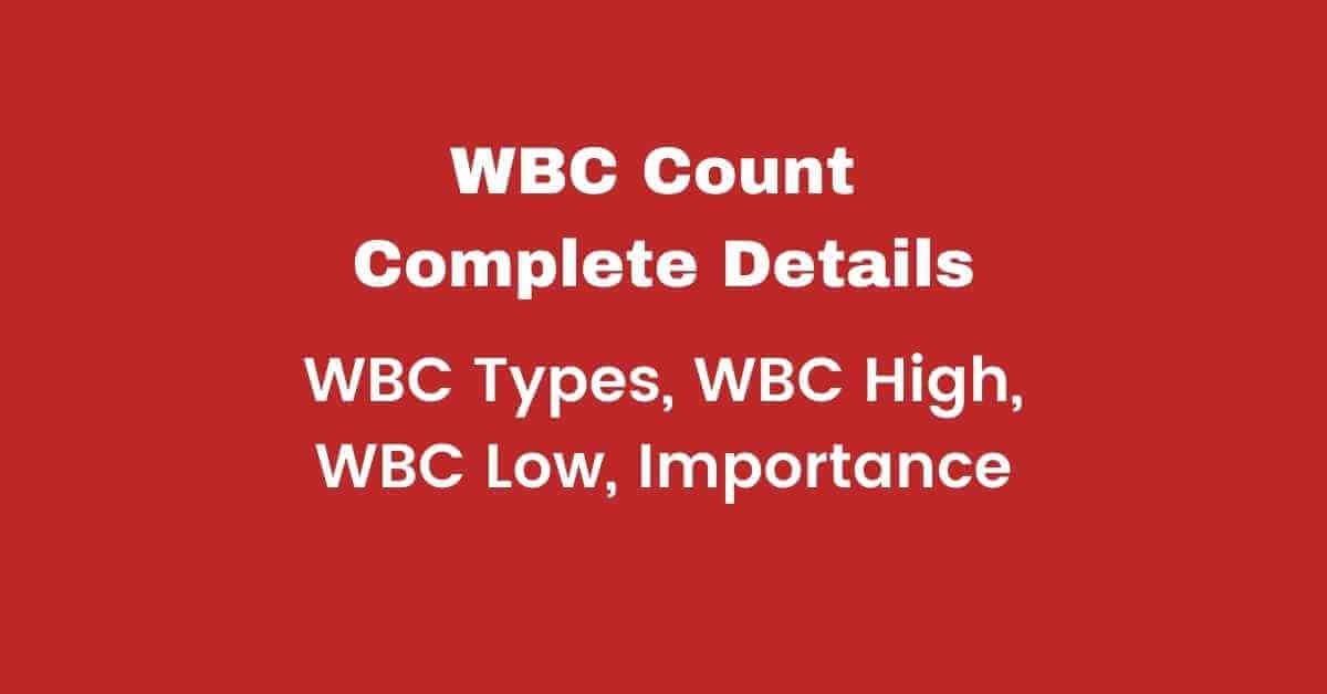 wbc-count-and-wbc-blood-test-doctoronhealth